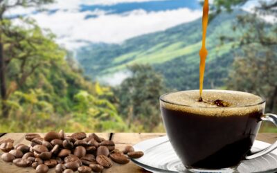 ☕ ¿Aliado o enemigo? La verdad sobre el café natural vs. el café industrial