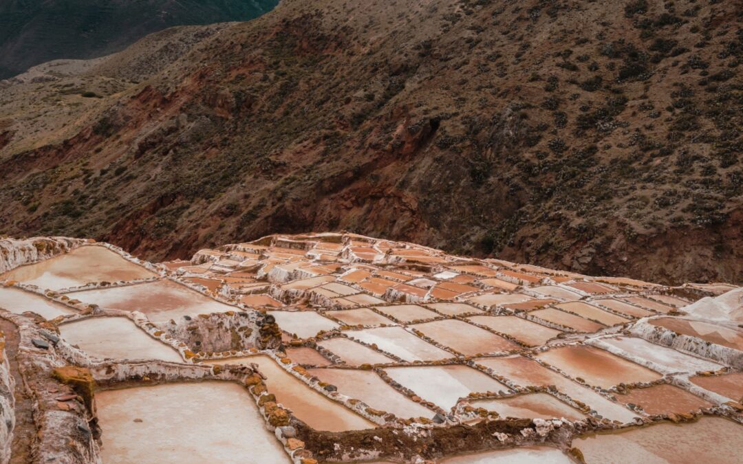 🧂 ¿Saludable o peligrosa? La verdad sobre la sal natural vs. la sal industrial