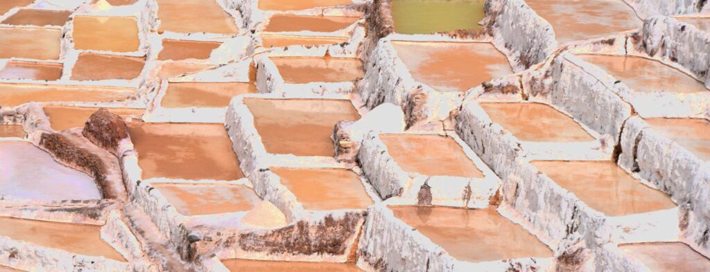 Blog 2 1 - La verdad sobre la sal yodada: ¿todavía la necesitas?