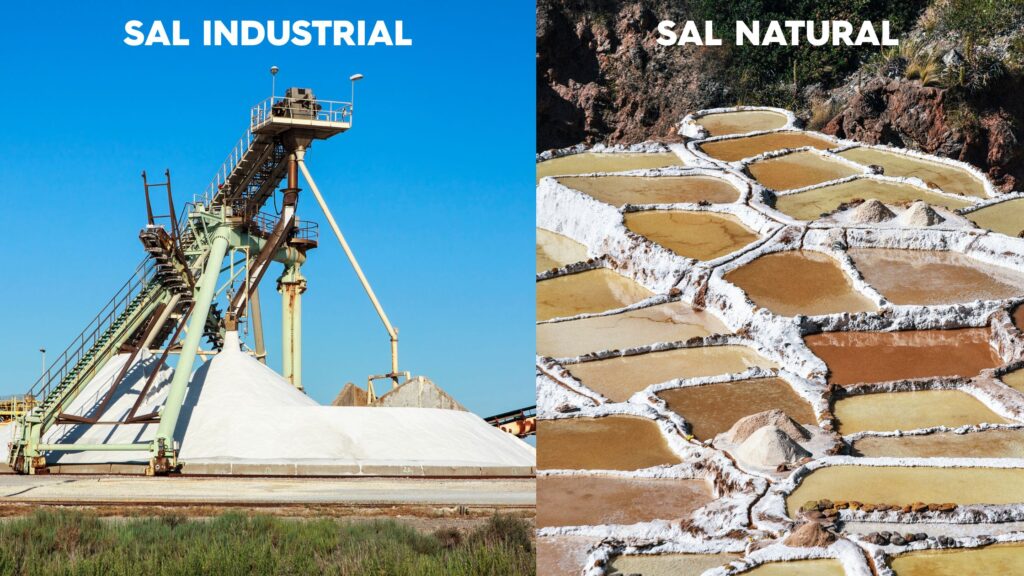imagen blog web 13 - La verdad sobre la sal yodada: ¿todavía la necesitas?