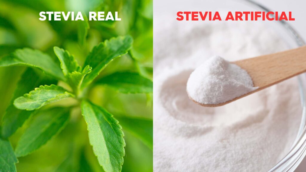 imagen blog web 18 - 🌿 ¿La stevia no es saludable? Desmontemos este mito con información real