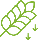 Icon1l - Back to School